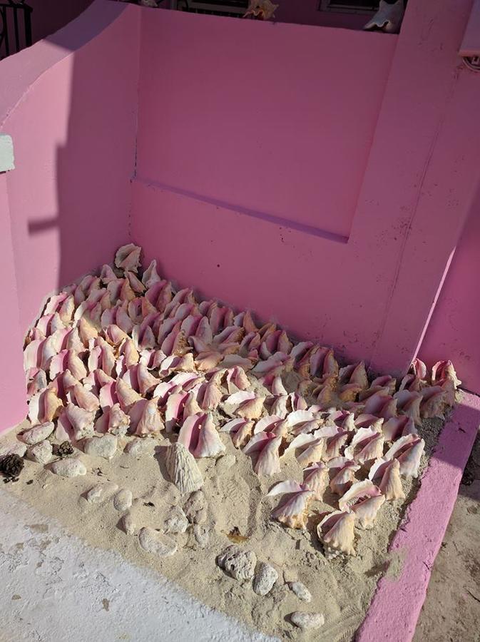 Da Pink And White Palace Nassau Exterior photo